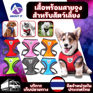 สายจูงพร้อมเสื้อสำหรับสัตว์เลี้ยง Size S/M/L/XL สายรัดอก ปลอกคอแมว เชือกจูงแมว สำหรับสัตว์เล็กและกลาง สายจูง สายจูงแมว