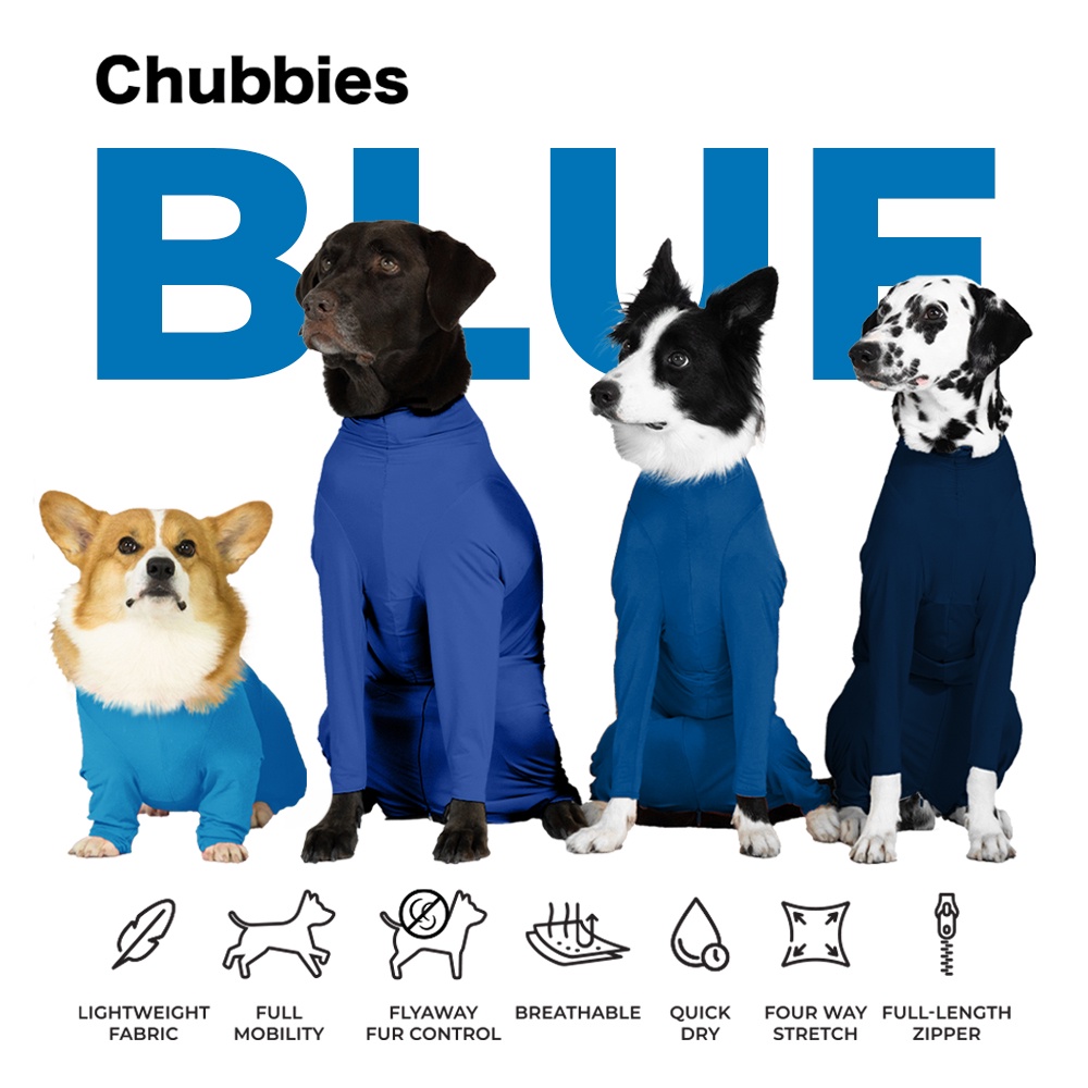 ch4-chubbies-indigo-blues-upf-50-onesies-ชุดกันขนร่วงสัตวเลี้ยง-เสื้อสุนัขในบ้าน-ในรถ-กันขนร่วงหมา-ป้องกันเลียแผล