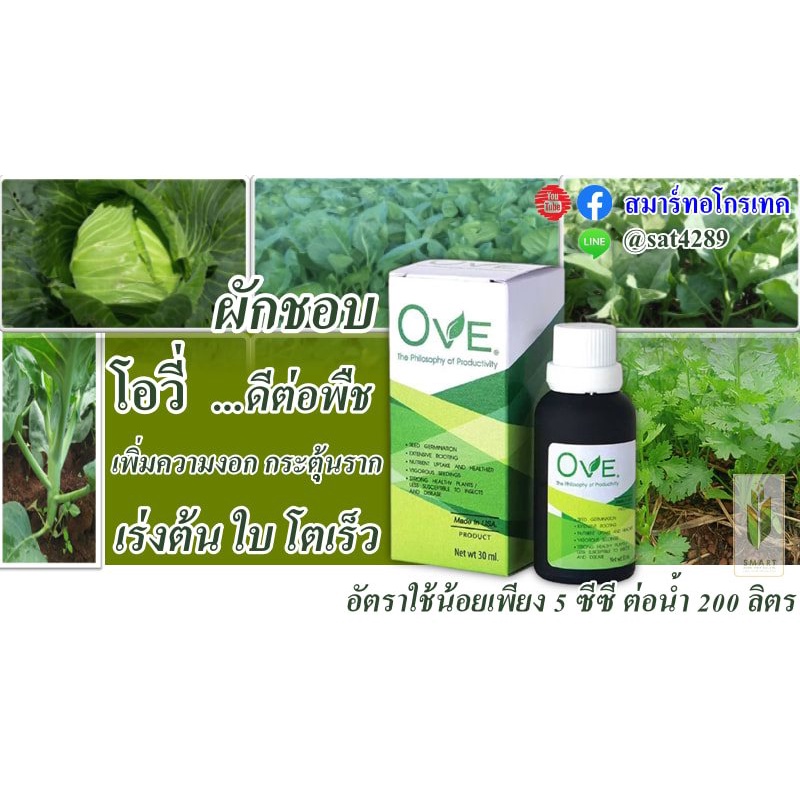 โอวี่-ove-30ml-เร่งราก-กระตุ้นการเจริญเติบโต-เขียวไว-ใช้น้อย