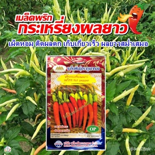 ผลิตภัณฑ์ใหม่ เมล็ดพันธุ์ เมล็ดพริกกระเหรี่ยงผลยาว เมโทร Hot pepper เมล็ดพริกกระเหรี่ยง เมล็ดพันธุ์พริก เมล็ดพร /สวนครัว