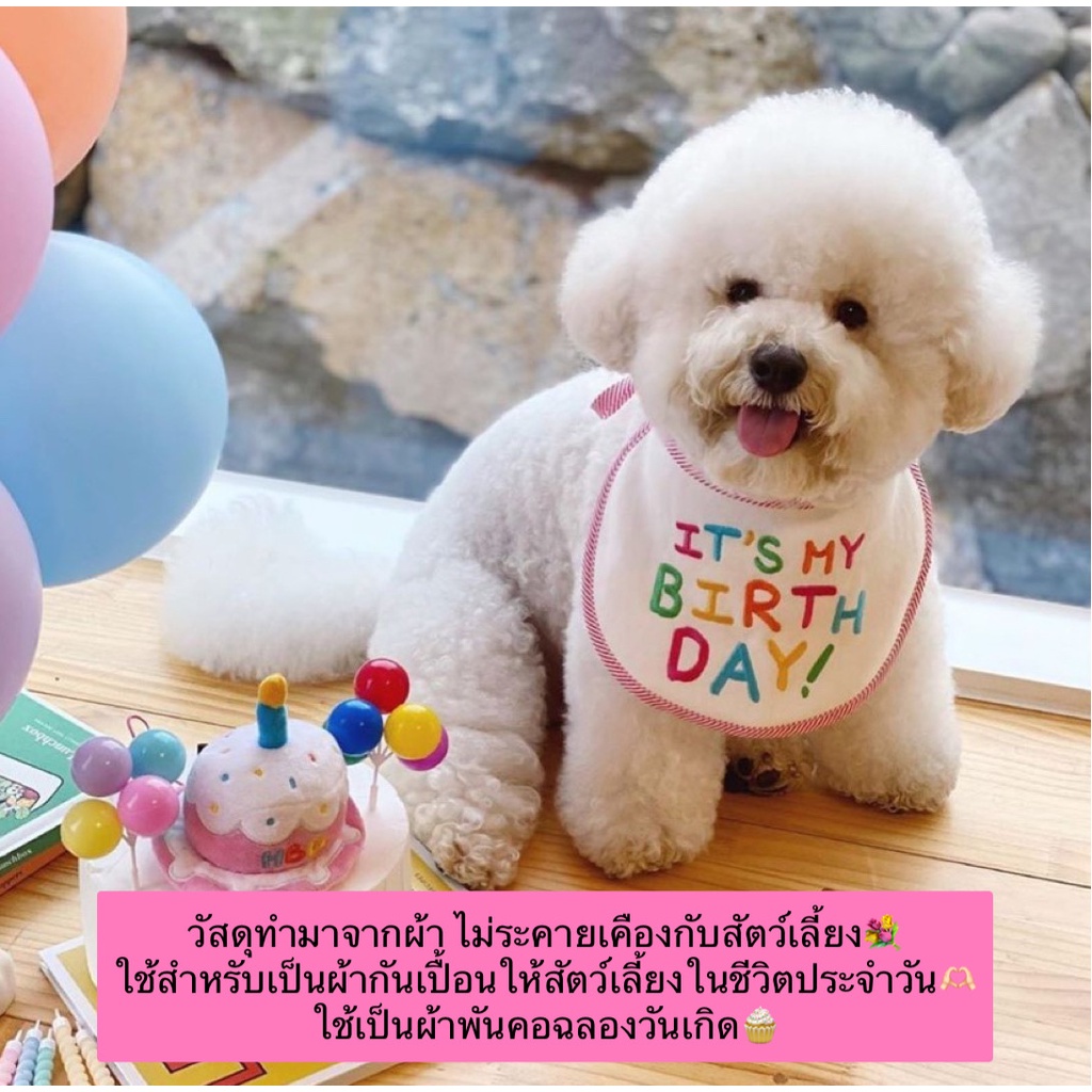 bn-360-ปลอกคอแมวลาย-birthday-ผ้าพันคอแมว-สุนัข-หมา-ผ้าเช็ดน้ำลาย-ผ้ากันเปื้อนวันเกิดสัตว์เลี้ยง-ราคาถูก-พร้อมส่ง