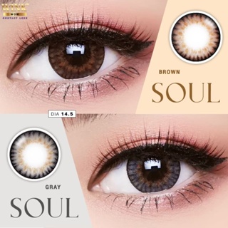 🇰🇷 Wink :  Soul ตาโต สายตาปกติ ถึง -5.00