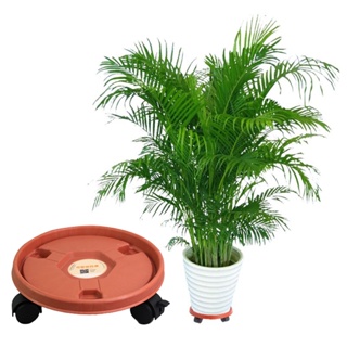 【AG】Pot Wheels Decorative High Loading Capacity Plastic Plant Pot Mover for Garden