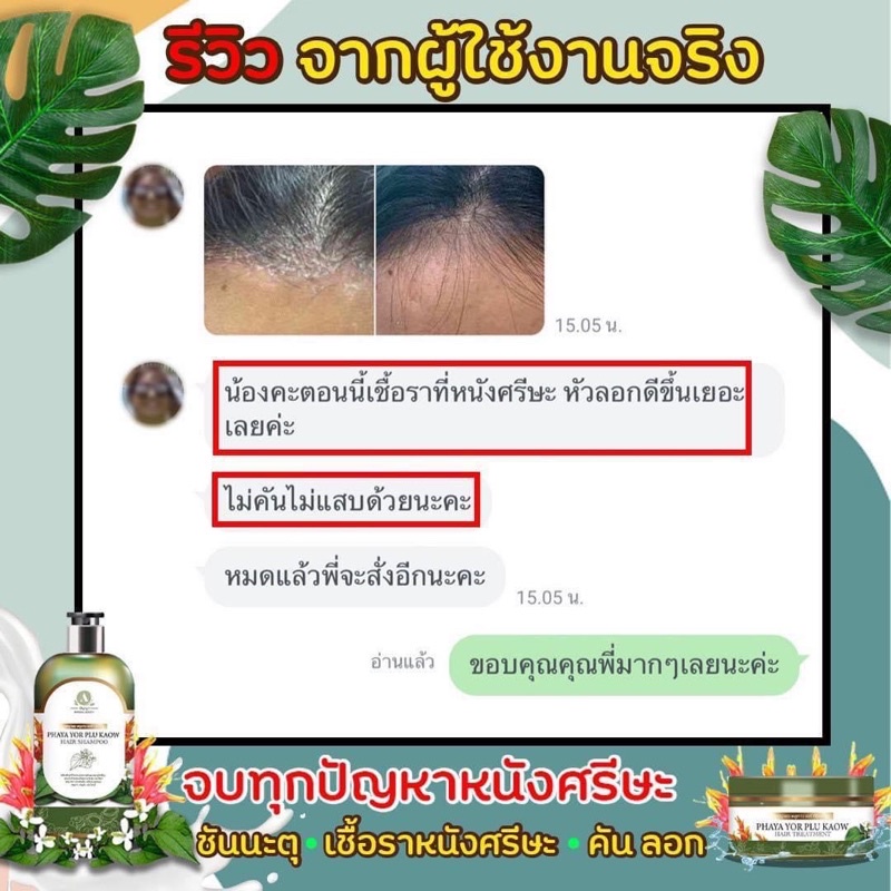 ทรีทเม้นท์พญายอ-อัญญา-พลูคาว-ครีมนวดผม-บำรุงเส้นผม-แก้คัน-ลดรังแค-เชื้อรา-ผมงอก-ผมร่วง-ก่อนวัยอันควร-ผมแห้งเสีย-แตกปลาย