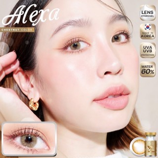 WeWink Alexa Eff.19 Brown ใหญ่