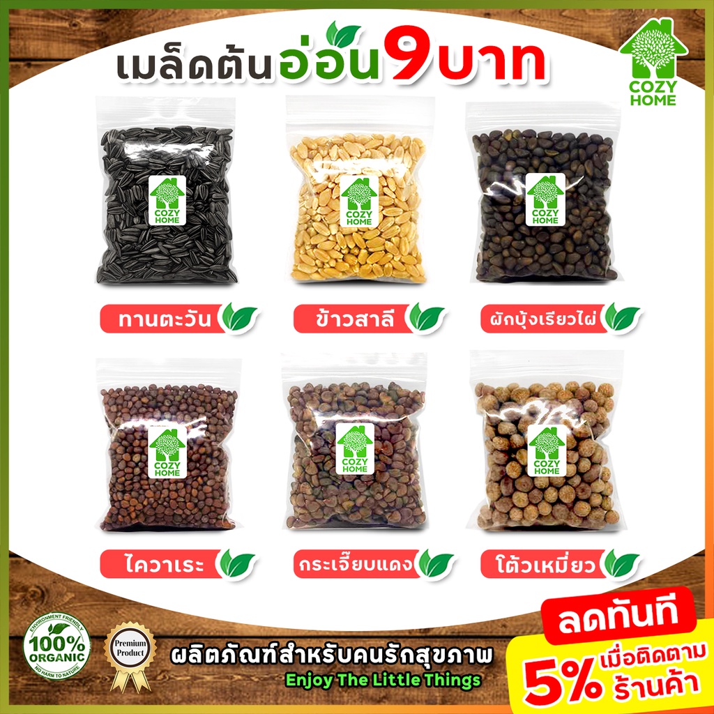 เมล็ดต้นอ่อน-เมล็ดผักไมโครกรีน-9-บาท-microgreen-ทานตะวัน-โตเหมี่ยว-ไควาเระ-ผักบุ้ง-ไมโครกรีน