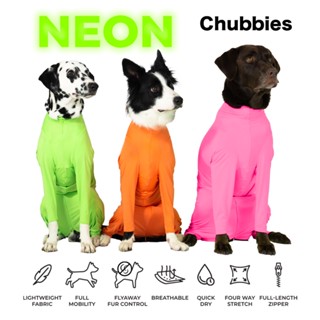 CH1 Neon series สีนีออน CHUBBIESชุดกันขนร่วงสัตวเลี้ยง เสื้อสุนัขในบ้าน ในรถ ชุดกันขนร่วงหมา ป้องกันเลียแผล