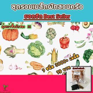 เมล็ดพันธุ์ผักใบ 7 ชนิด 3,000  เมล็ด 79 บาท งอกดีมีคู่มือการปลูก/ ผักสวนครัว/ง่าย ปลูก สวนครัว เมล็ด/อินทรีย์ 3COP