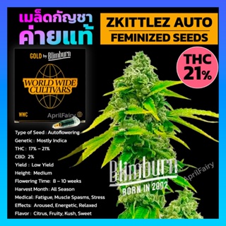 เมล็ดพันธุ์กัญชา Zkittlez AUTO ออโต้ เพศเมีย เมล็ดกัญชานอก THC สูง เมล็ดค่าย Blimburnseeds รับประกัน แท้100% แบ่งขาย