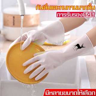 ถุงมือ ถุงมือยาง Rubber Gloves