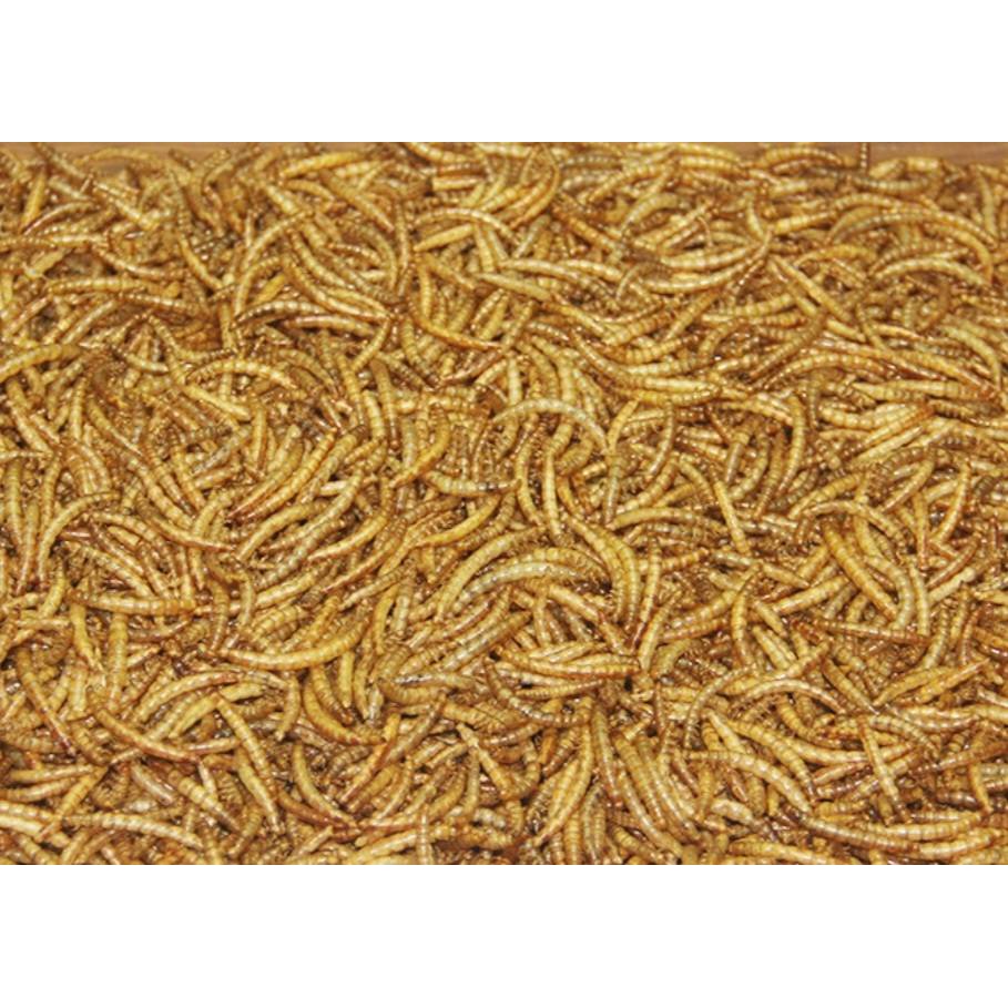 dried-mealworms-100g-หนอนนก-หนอนอบแห้ง-100กรัม