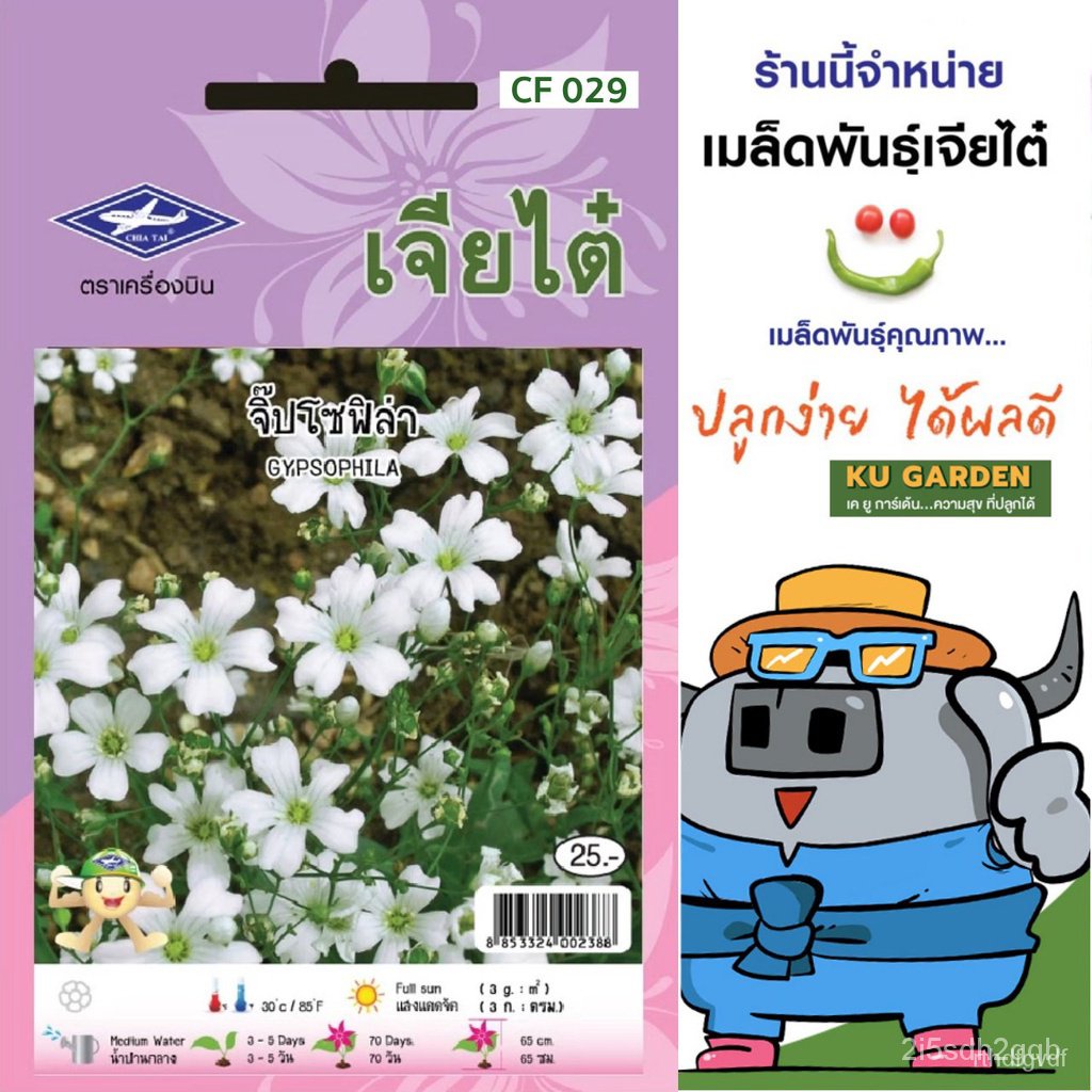 ผลิตภัณฑ์ใหม่-เมล็ดพันธุ์-2022chiatai-เมล็ดอวบอ้วนดอกไม้-เจียไต๋-h029-จิ๊ปโซฟิล่า-เมล็ดอวบอ้วน-ดอกไม้-เมล็ดด-คล-ขา-7f