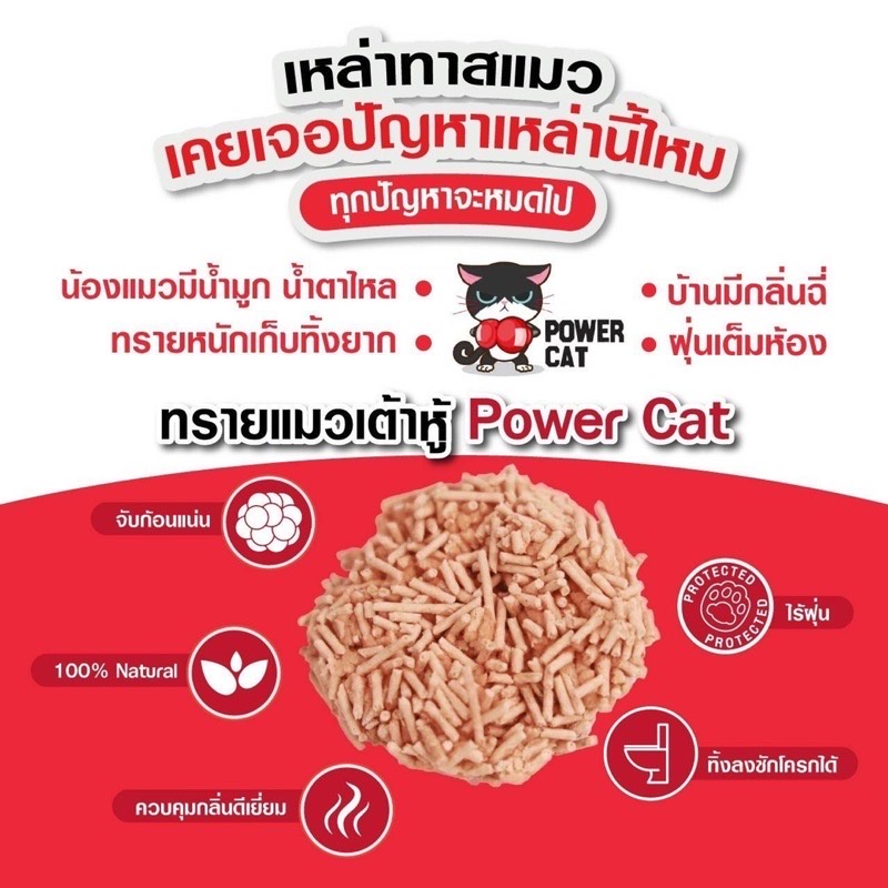 ทรายแมวเต้าหู้ Power Cat แท่งเล็ก 1.5 มม ขนาด 6 ลิตร มี 4 กลิ่น ทิ้งลงชักโครกได้ รูปที่ 3