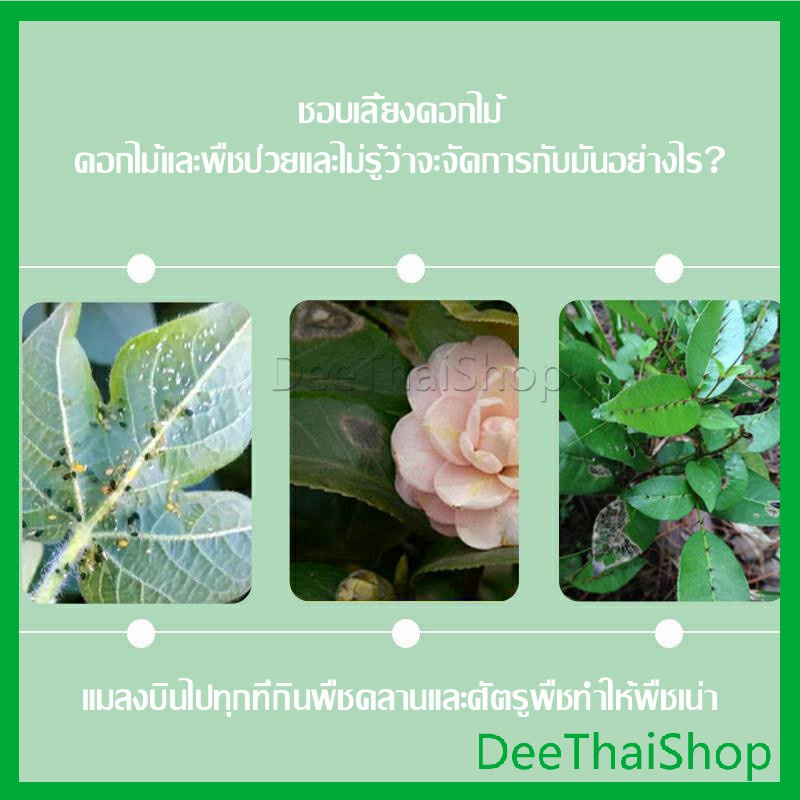 deethai-เม็ดกำจัดเพลี้ย-ไม่ทำร้ายพืช-ยากำจัดสัตรูพืช-ปราศจากฮอร์โมน-ปรับปรุงดิน-อารักขาพืช