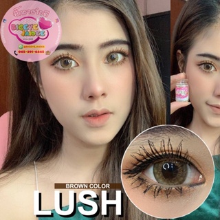 WinkWow Lush Eff.19 Brown ใหญ่