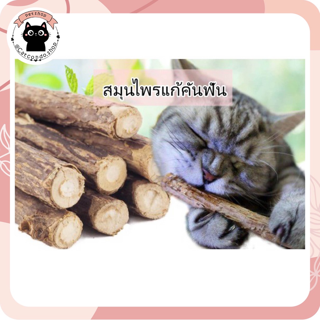 ภาพหน้าปกสินค้า️Catnip ออร์แกนิค ลูกบอลแมว ที่ขัดฟัน ขัดฟันแมว ของเล่นแมว (5แท่ง) ️ จากร้าน ratimapeem บน Shopee