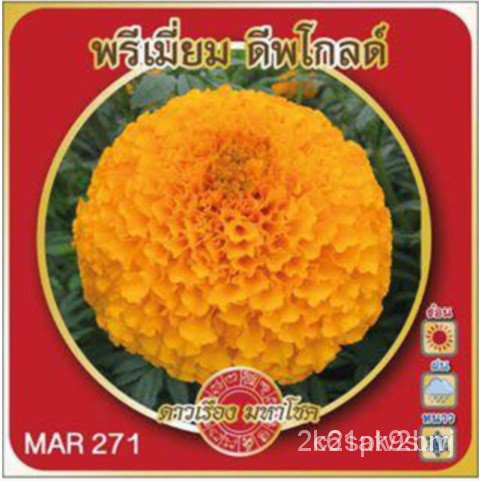 ผลิตภัณฑ์ใหม่-เมล็ดพันธุ์-เมล็ดพันธุ์-mar-271-พรีเมี่ยมดีฟโกลด์-จำนวน100เมล็ด-ดาวเรืองมหาโชคสายพันธุ์ดาวเรืองสำห-ขายด-vm