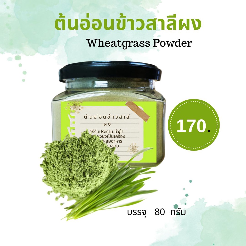 ต้นอ่อนข้าวสาลีผง-wheatgrass-powder