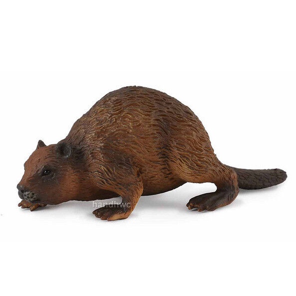 collecta-88382-beaver-forest-woodland-คัดลอกลายสัตว์-พร้อมแพกเกจจิ้ง