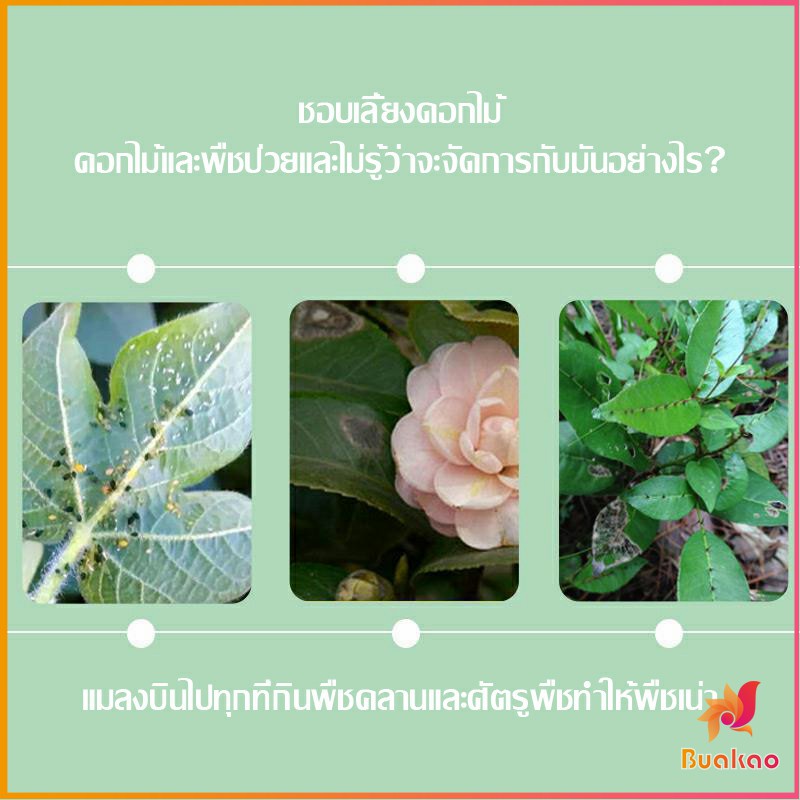 buakao-เม็ดกำจัดเพลี้ย-ไม่ทำร้ายพืช-ยากำจัดสัตรูพืช-ปราศจากฮอร์โมน-ปรับปรุงดิน