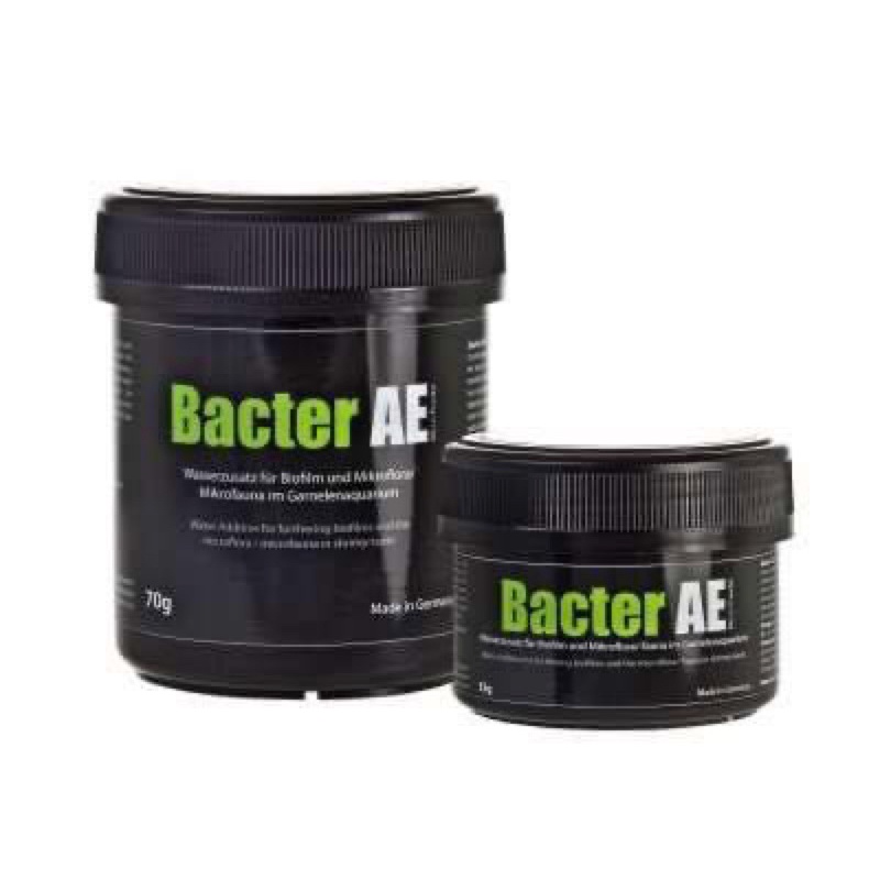 bacter ae แบคทีเรียช่วยตั้งตู้ | Shopee Thailand
