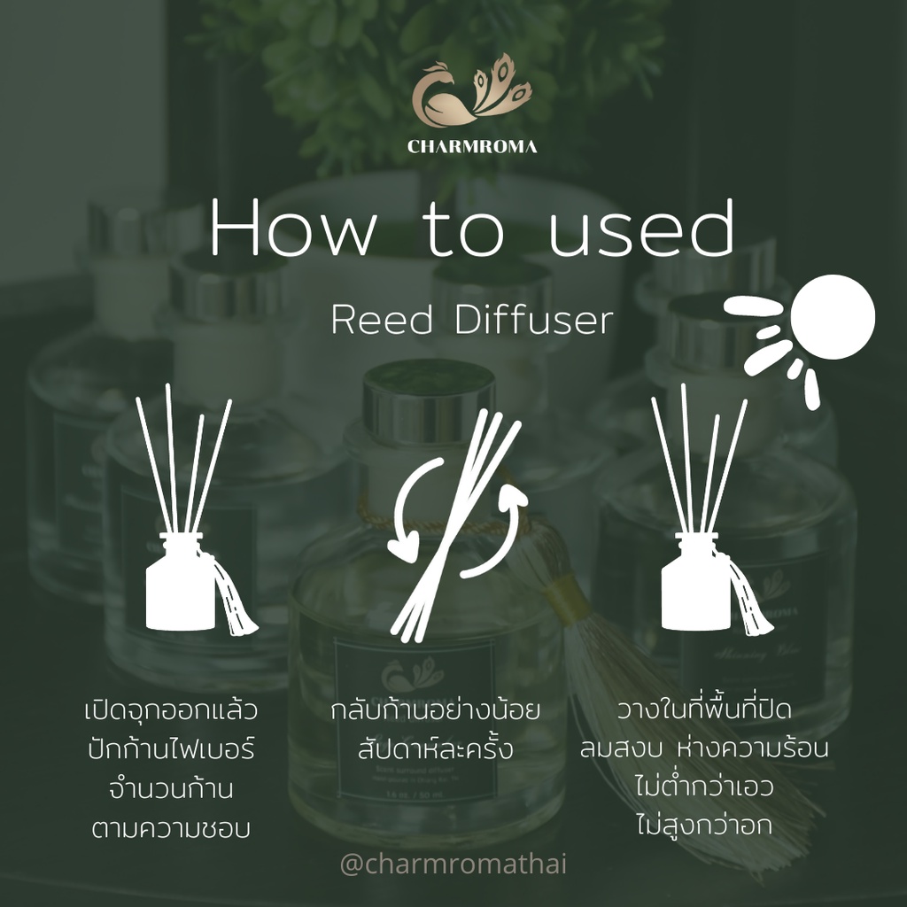 charmroma-street-cafe-reed-diffuser-ชาร์มโรม่า-ก้านไม้หอมปรับอากาศ-กลิ่น-สตรีท-คาเฟ่-50-ml