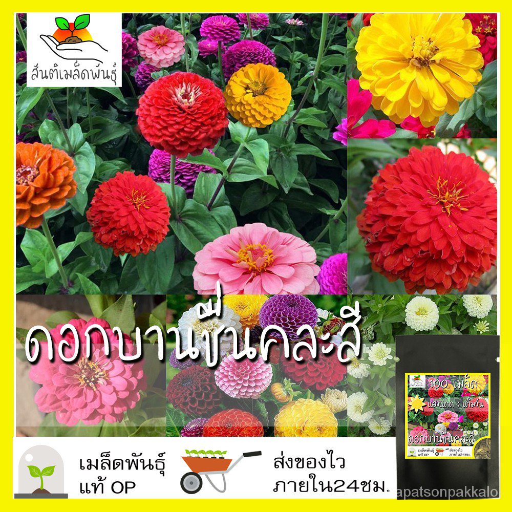 My Image 104