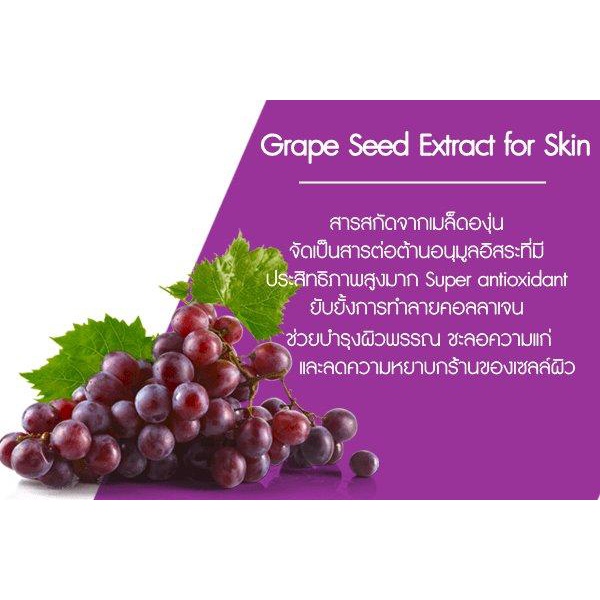 mega-we-care-grape-seed-extract-20mg-60s-เมก้า-วีแคร์-เกรปซีด-เอ็กซแทรกท์-60-แคบซูล