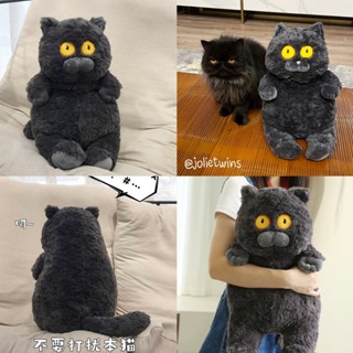 พร้อมส่ง🍑 ตุ๊กตา แมวดำตาเหลือง หน้ากวนๆ Black Cat ตุ๊กตาน่ารัก ตุ๊กตาแมว ตุ๊กตาตลกๆ ของขวัญ ทาสแมว พร็อบแต่งห้อง