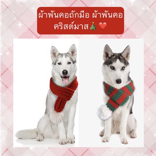 BN-274 ผ้าพันคอถักมือ ชุดสัตว์เลี้ยง ปลอกคอสุนัข หมา แมว ผ้าพันคอคริสต์มาส christmas พร้อมส่งงับ🎄🎅🏻