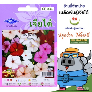 ผลิตภัณฑ์ใหม่ เมล็ดพันธุ์ จุดประเทศไทย ❤เมล็ดพันธุ์CHIATAI  ดอกไม้ เจียไต๋ 031#แพงพวย  ดอกไม้ซอง ผักซอง เมล็ดอว คล/เ XZL
