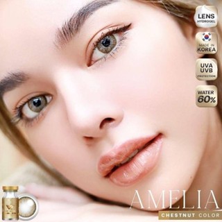 WeWink Amelia Eff.19 Brown ใหญ่