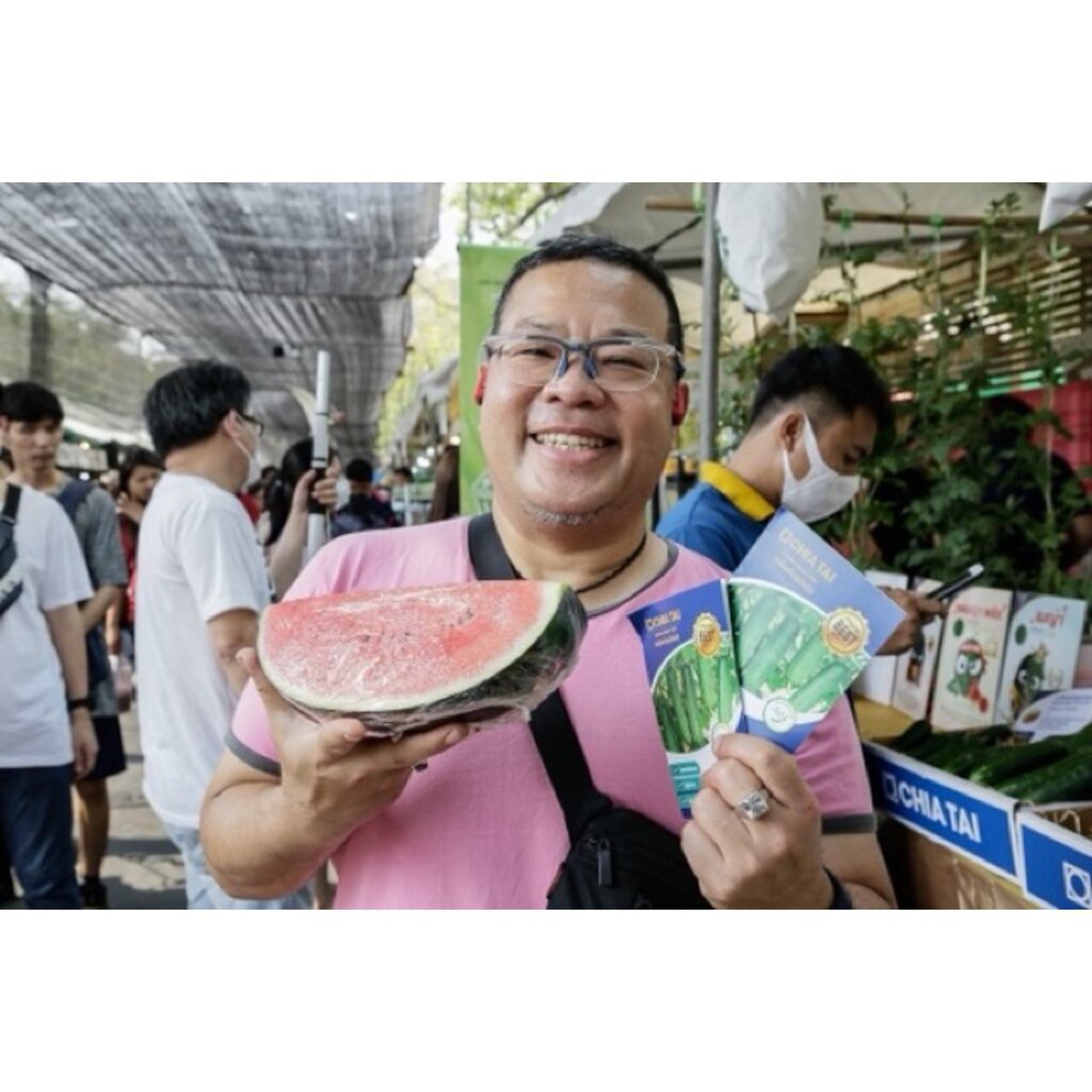 ผลิตภัณฑ์ใหม่-เมล็ดพันธุ์-เมล็ดพันธุ์คุณภาพสูงในสต็อกในประเทศไทย-พร้อมส่ง-ะให้ความสนใจของคุณใหม่-ขนาดทดลอง-จำนว-ขายด-ke