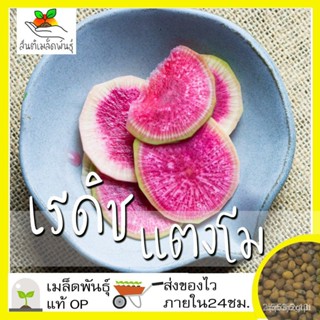 ผลิตภัณฑ์ใหม่ เมล็ดพันธุ์ สปอตสินค้า❤เมล็ดอวบอ้วน เรดิช แตงโม 100 เมล็ด Watermelon Radish เมล็ดอวบอ้วนแท้ นำเข้ /สวนครัว