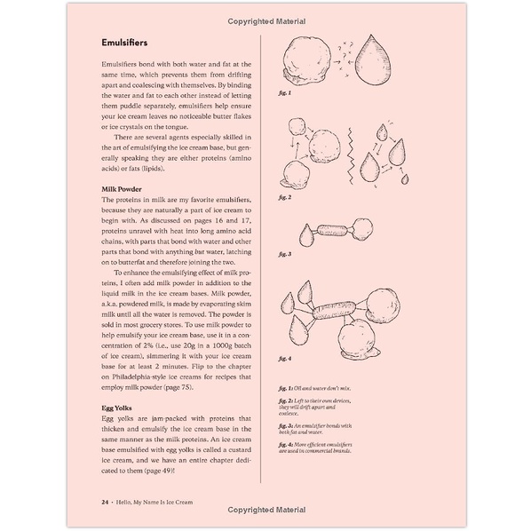 hello-my-name-is-ice-cream-the-art-and-science-of-the-scoop-a-cookbook