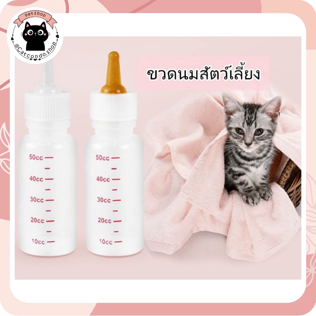 ภาพหน้าปกสินค้า️ขวดนมสำหรับสัตว์เลี้ยง ขวดนมแมว ขวดนมสัตว์เลี้ยง ️ จากร้าน ratimapeem บน Shopee