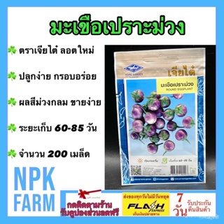 ผลิตภัณฑ์ใหม่ เมล็ดพันธุ์ เมล็ดพันธุ์คุณภาพสูงในสต็อกในประเทศไทย พร้อมส่งผักซอง เจียไต๋ มะเขือเปราะม่วง จำนวน 2 คล/เ 8PK