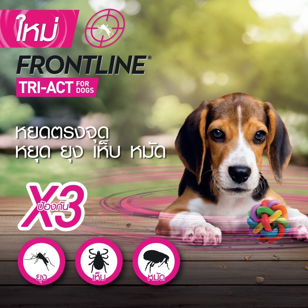 ภาพสินค้าFRONTLINE TRI-ACT สำหรับสุนัขทุกขนาด (1 กล่อง = 3 หลอด) จากร้าน dookdik_pet_shop บน Shopee ภาพที่ 1