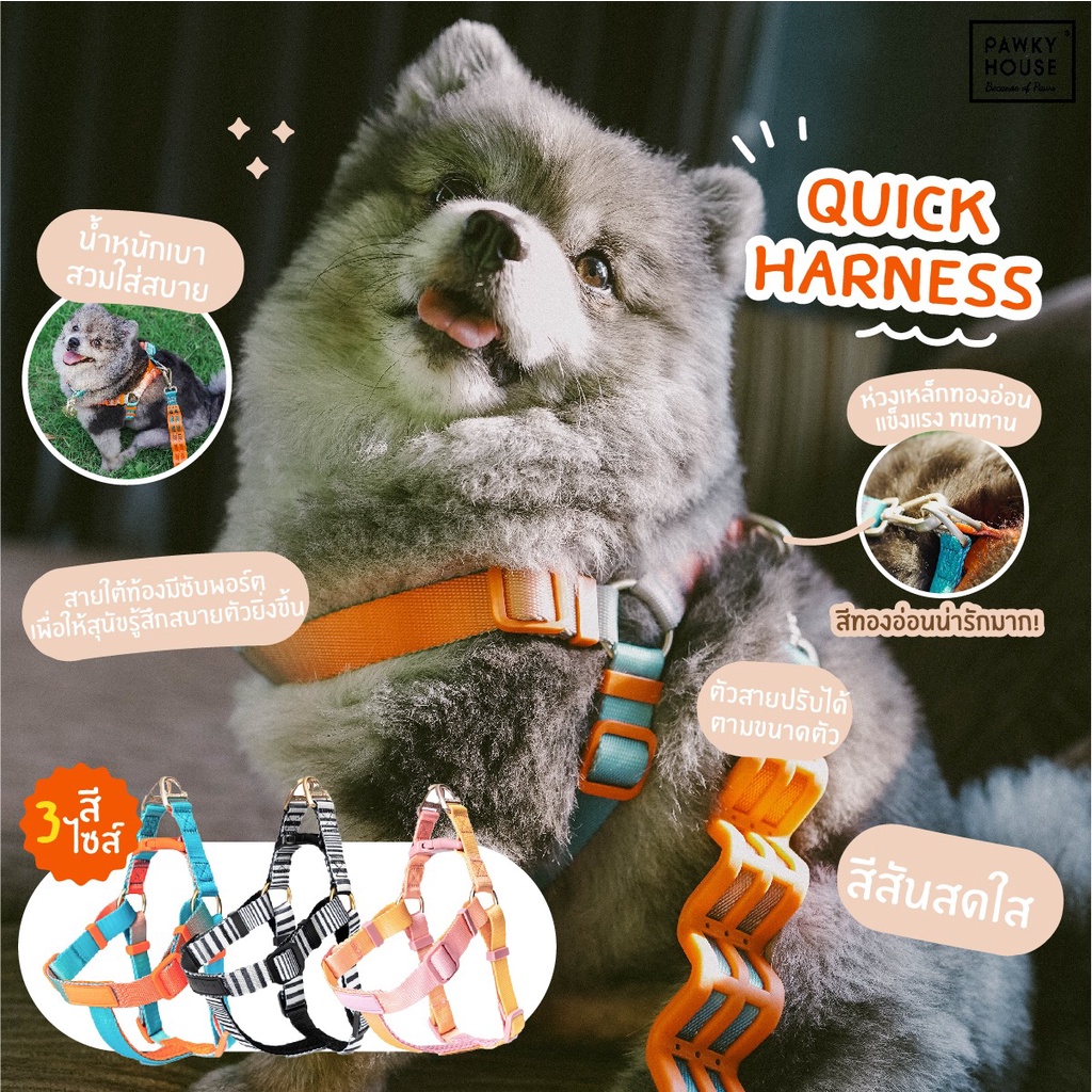 สายรัดตัวสุนัข-quick-harness-pawky-house-จากตัวแทนจำหน่ายอย่างเป็นทางการในประเทศไทย
