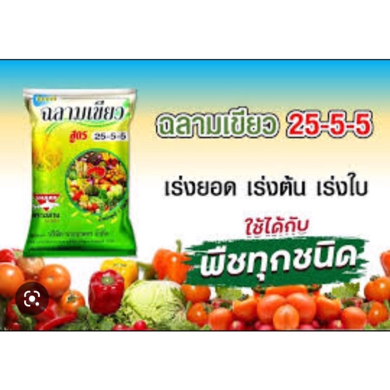 ปุ๋ยเกล็ด25-5-5-ฉลาดเขียว-ฮอร์โมนพืชพลังใบเขียว