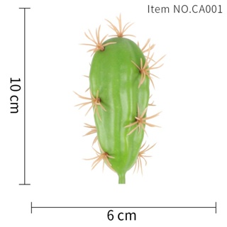 （คุณภาพสูง เมล็ด）[พร้อมส่ง]ต้นแคคตัสปลอมมีให้เลือก 16 แบบ CA001/อินทรีย์ QTNP