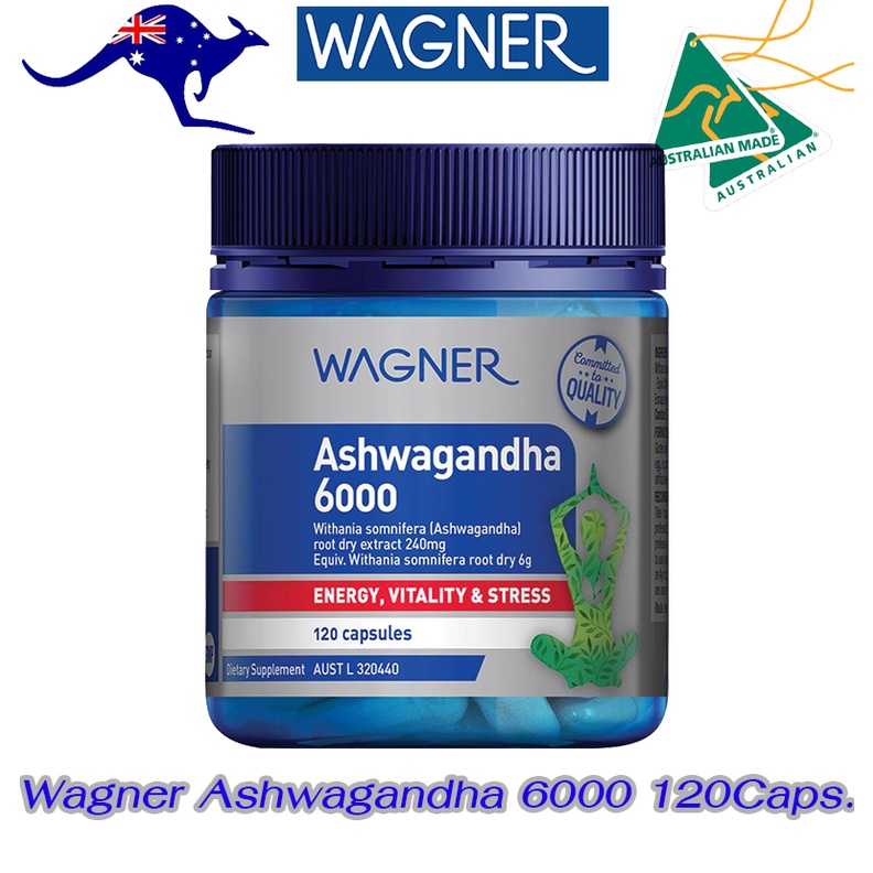 wagner-ashwagandha-6000-120-capsules-โสมอินเดีย-ฟื้นฟูร่างกาย-เพิ่มพลังสมอง-ลดความตรึงเครียดของเส้นประสาท-ช่วยผ่อนคลาย