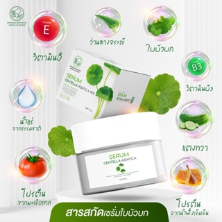 เซรั่ม ใบบัวบก🍀Pontina Serum🍀 ผสมว่านหางจระเข้ พรทิน่า ลดสิว บำรุงและฟื้นฟูผิว เจลใบบัวบก