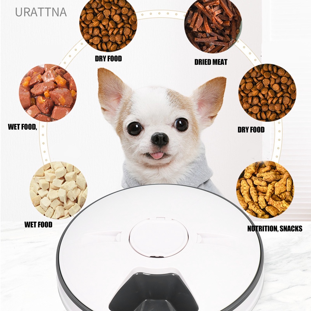 urattna-เครื่องให้อาหารสุนัขอัตโนมัติ-แบบตั้งเวลา-ควบคุมส่วนอัจฉริยะ-พร้อมเสียงเตือน-สําหรับสุนัขขนาดเล็ก-ลูกสุนัข