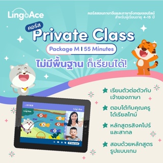 ภาพขนาดย่อของภาพหน้าปกสินค้าLingoAce l Private Class l จำนวน 48 คลาส (สำหรับลูกค้าใหม่) จากร้าน lingoace_thailand บน Shopee