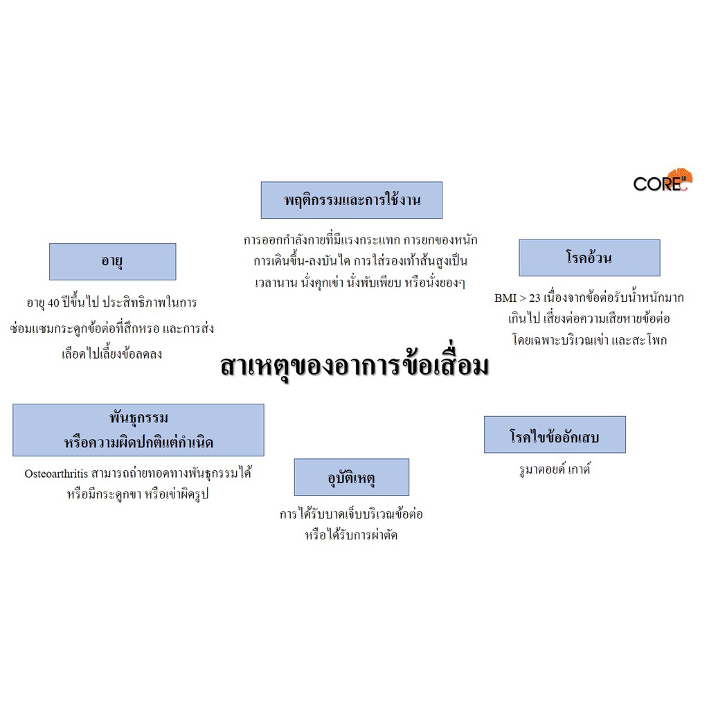 core-speeze-คอร์-สปีช-ข้อเข่าเสื่อม-ข้อเข่า-เสื่อม-อาหารเสริม-บำรุงข้อเข่า-บำรุง-ข้อต่อ-กระดูก-เข่า-บำรุงข้อต่อ-ปวดเข่า