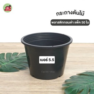 กระถาง กระถางต้นไม้พลาสติก กระถางพลาสติกสีดำ 5.5นิ้ว 50ใบ