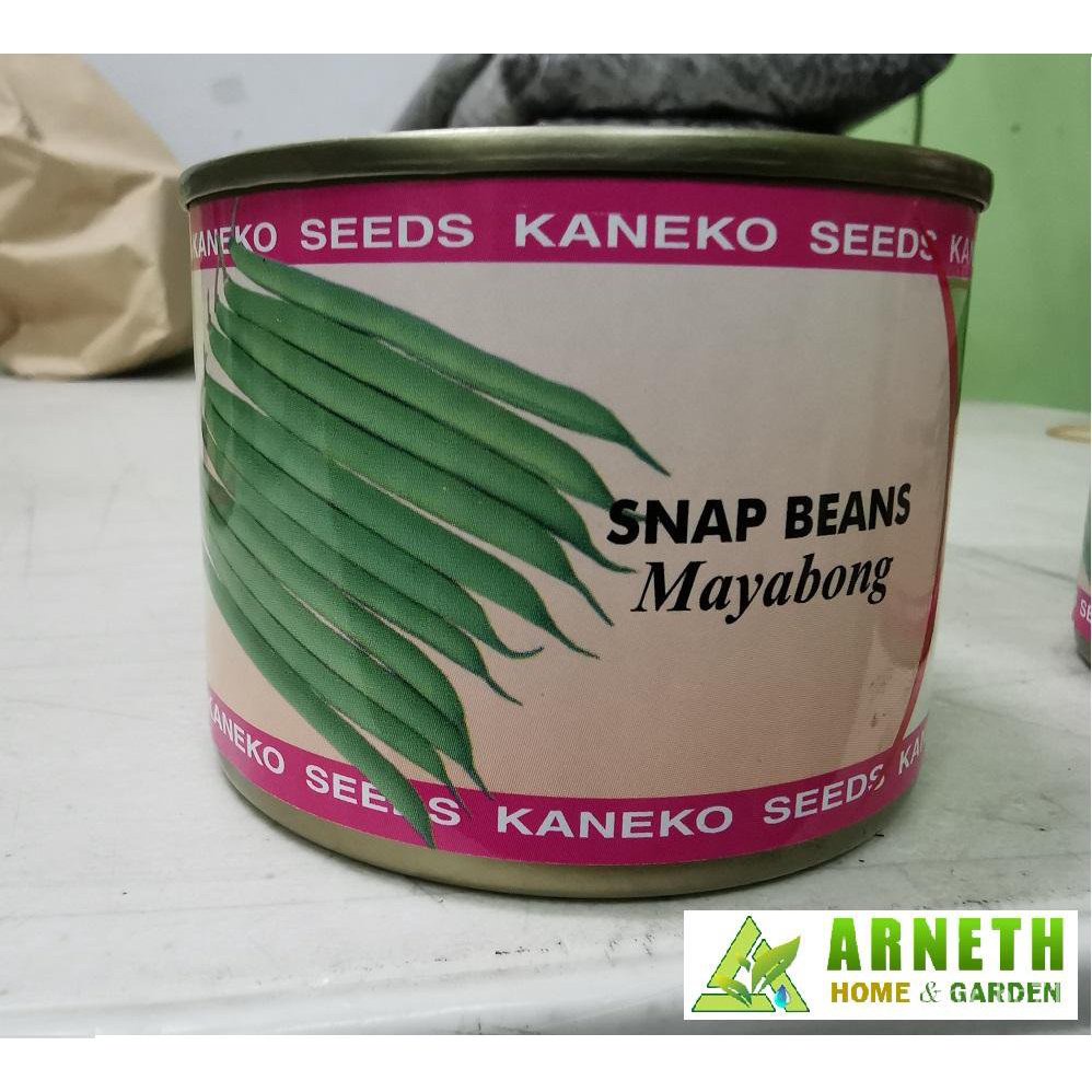 อินทรีย์-ใหม่-สายพันธุ์-จุดประเทศไทย-snap-bean-baguio-beans-seeds-mayabong-variety-by-kaneko-100grams-canเมล-ขายด-rf