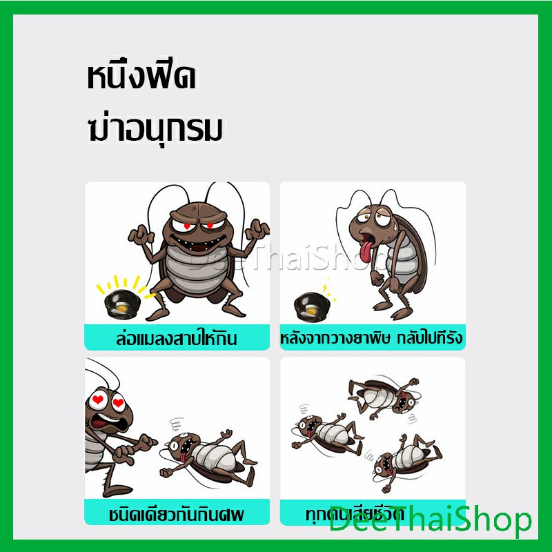 deethai-กำจัดแมลงสาบยกรัง-100-ขนาด-12-เม็ด-กําจัดศัตรูพืช-pest-control