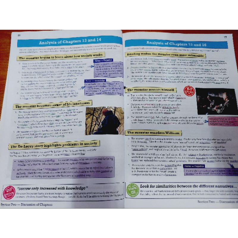 gcse-english-frankenstein-the-text-guide-มือสอง